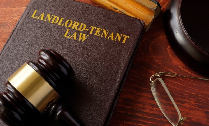 Tenant and Squatter Law NJ