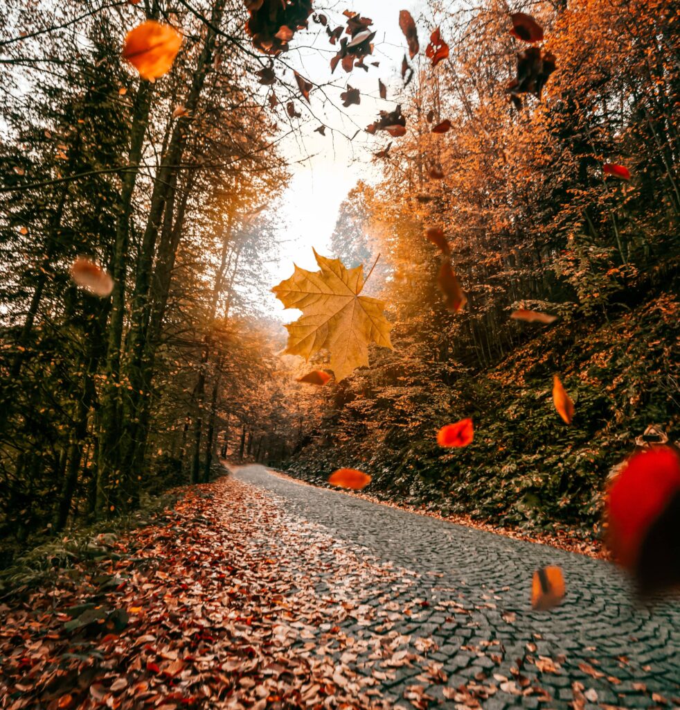 Slip and Fall Accidents Increase as Seasons Change_ Understanding Liability in New Jersey